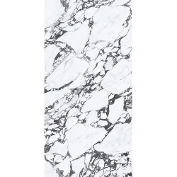 Керамогранит NT Ceramic NTT3013P Tantai Jin Demon 120x240