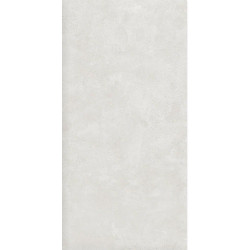 Керамогранит Alma Ceramica GFU60120SHP07R Sharp матовый 60x120 