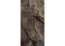 Керамогранит Duna RP-185183 Arizona Green 120x60
