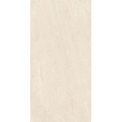 Керамогранит Neodom N80014 Stone Novus Natural Matt 60x120