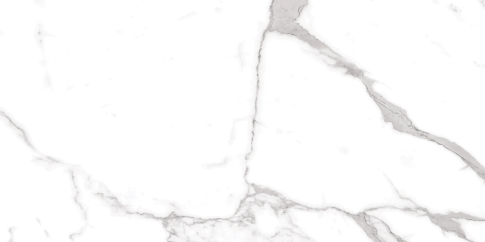 Керамогранит Duna RP-238267 Statuario Fantastico Sugar 60x120