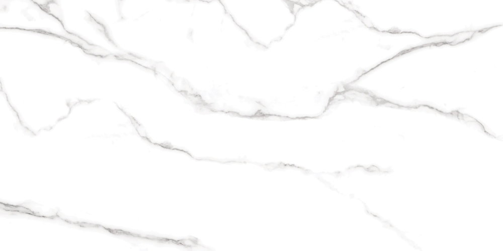 Керамогранит Duna RP-238267 Statuario Fantastico Sugar 60x120