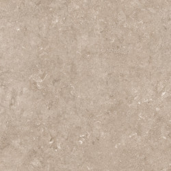 Керамогранит Neodom N12050 Stone Pariso Tobacco Matt 60x120