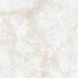 Керамогранит NT Ceramic NTT3019P Li Susu Dragon 120x240