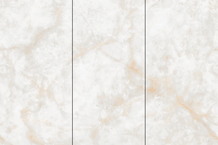 Керамогранит NT Ceramic NTT3019P Li Susu Dragon 120x240