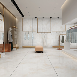 Керамогранит NT Ceramic NTT3019P Li Susu Dragon 120x240