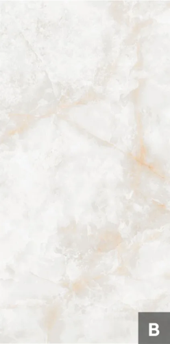 Керамогранит NT Ceramic NTT3019P Li Susu Dragon 120x240