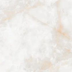 Керамогранит NT Ceramic NTT3019P Li Susu Dragon 120x240