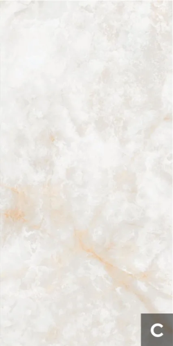 Керамогранит NT Ceramic NTT3019P Li Susu Dragon 120x240