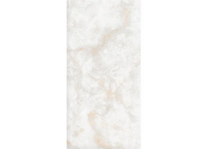 Керамогранит NT Ceramic NTT3019P Li Susu Dragon 120x240