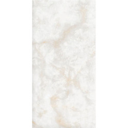 Керамогранит NT Ceramic NTT3019P Li Susu Dragon 120x240