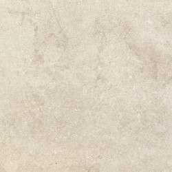 Керамогранит Neodom N12049 Stone Eden Light Satin 60x120