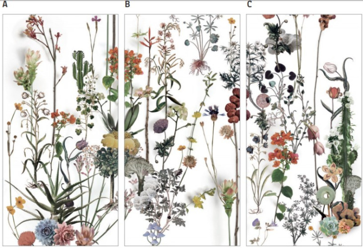 Керамогранит 41ZERO42 4100716 Franz 60x120