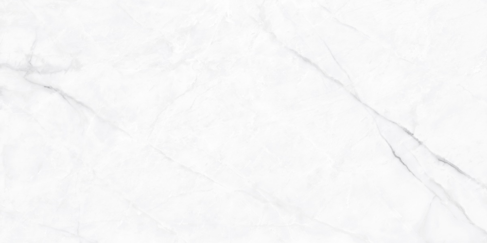 Керамогранит Neodom N130008 Classic Marble Calacatta Fantasy Polished 60x120