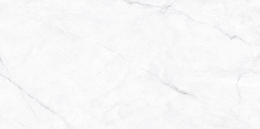 Керамогранит Neodom N130008 Classic Marble Calacatta Fantasy Polished 60x120