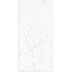Керамогранит Neodom N130008 Classic Marble Calacatta Fantasy Polished 60x120