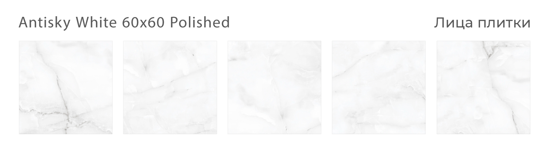 Керамогранит Staro Oasis Antisky White Polished 60x60