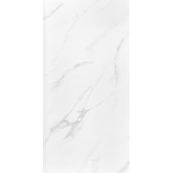Керамогранит Neodom N40029 Classic Marble Statuario Royal Carving 60x120