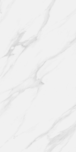 Керамогранит Neodom N40029 Classic Marble Statuario Royal Carving 60x120