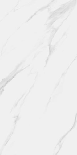 Керамогранит Neodom N40029 Classic Marble Statuario Royal Carving 60x120