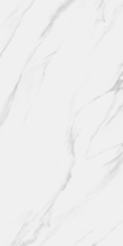 Керамогранит Neodom N40029 Classic Marble Statuario Royal Carving 60x120
