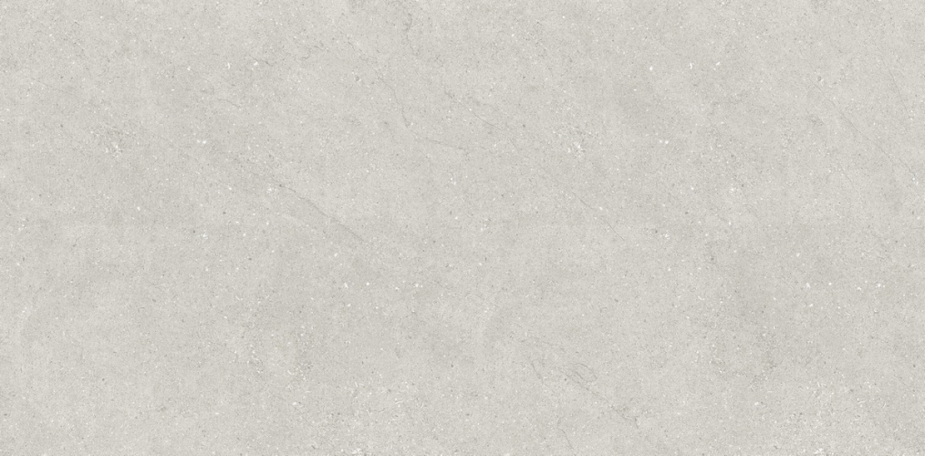 Керамогранит Neodom N110007 Concept Liberty Grey Matt 60x120