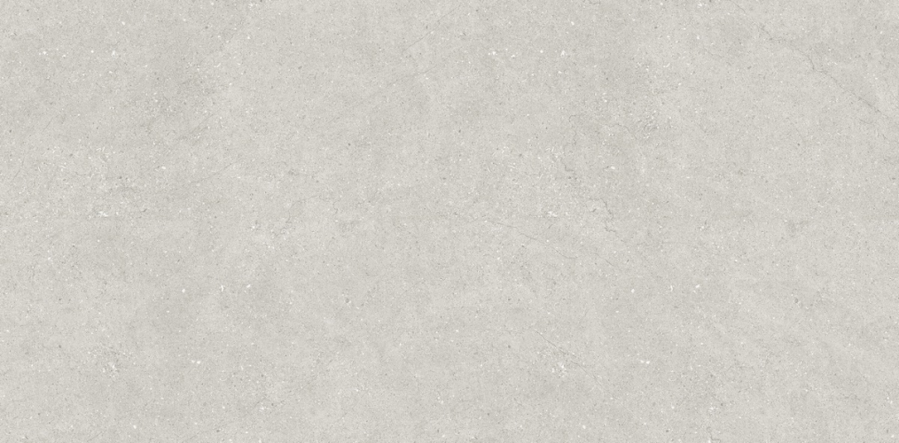 Керамогранит Neodom N110007 Concept Liberty Grey Matt 60x120