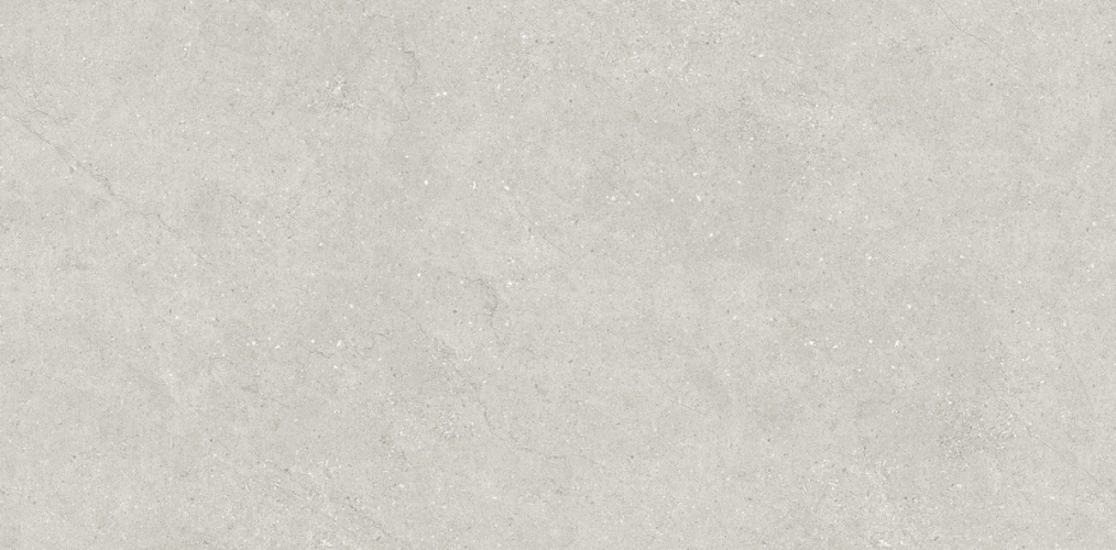 Керамогранит Neodom N110007 Concept Liberty Grey Matt 60x120