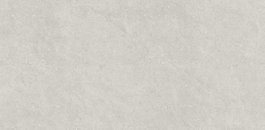 Керамогранит Neodom N110007 Concept Liberty Grey Matt 60x120