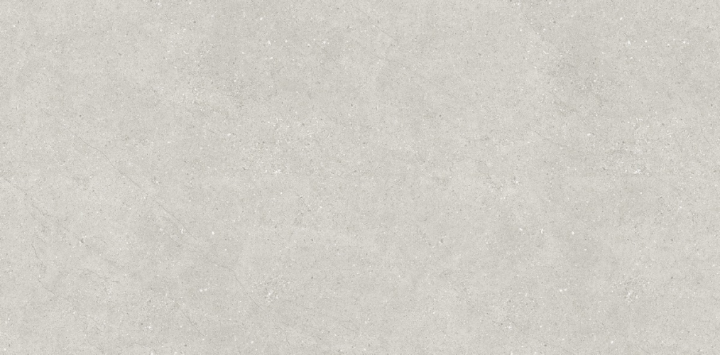 Керамогранит Neodom N110007 Concept Liberty Grey Matt 60x120