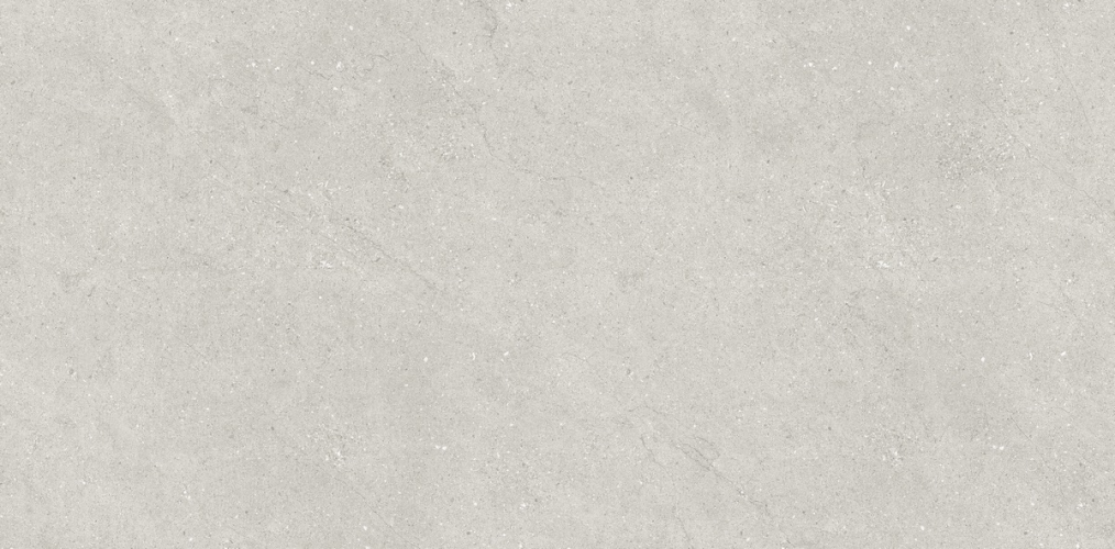 Керамогранит Neodom N110007 Concept Liberty Grey Matt 60x120