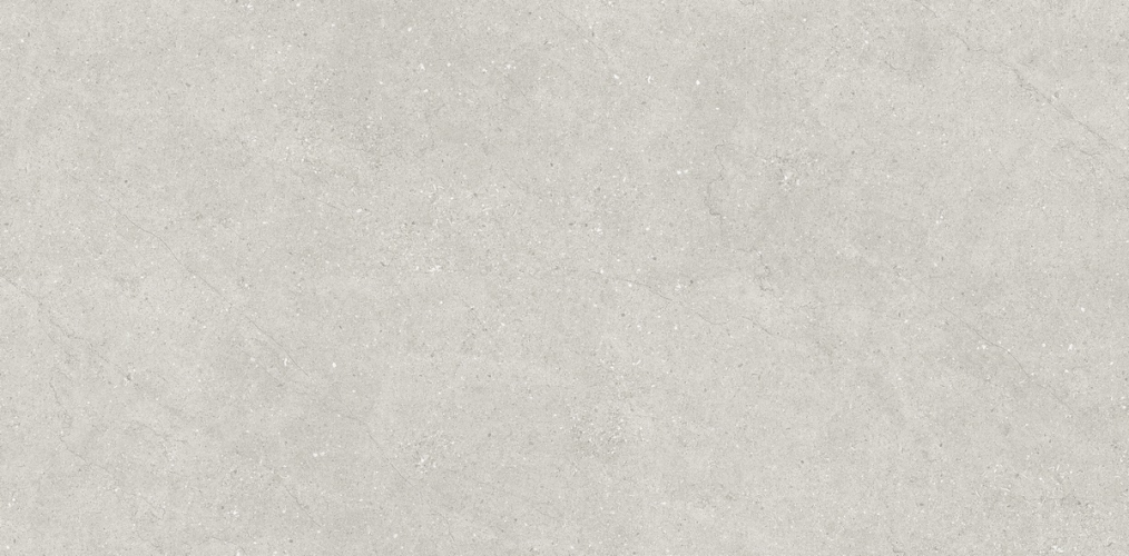 Керамогранит Neodom N110007 Concept Liberty Grey Matt 60x120