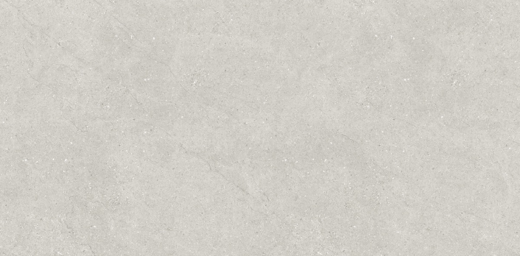 Керамогранит Neodom N110007 Concept Liberty Grey Matt 60x120