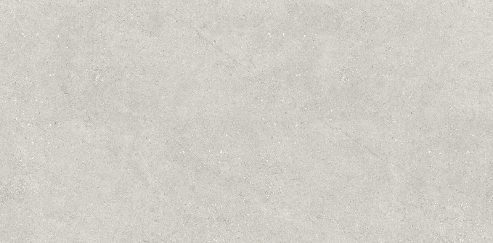 Керамогранит Neodom N110007 Concept Liberty Grey Matt 60x120