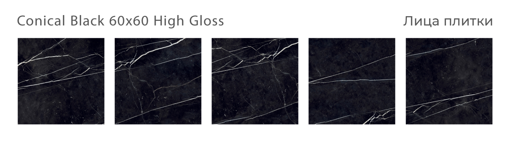 Керамогранит Staro Oasis Conical Black High Gloss 60x60