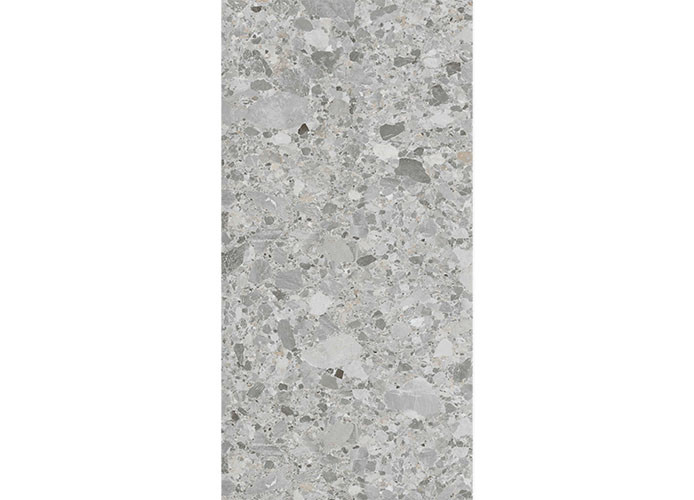 Керамогранит NT Ceramic NTT3020M Yu Gong Yi Shan matt 120x240