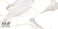 Керамогранит NT Ceramic NTT9121P Calacatta Light Grey 60x120