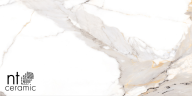 Керамогранит NT Ceramic NTT9121P Calacatta Light Grey 60x120
