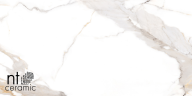 Керамогранит NT Ceramic NTT9121P Calacatta Light Grey 60x120