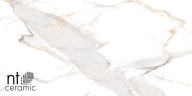 Керамогранит NT Ceramic NTT9121P Calacatta Light Grey 60x120