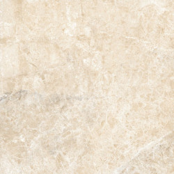 Керамогранит Neodom CV20248 Sale Emperador Beige Polished 60x60