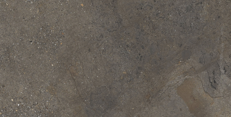 Керамогранит NT Ceramic NTTHS99806D Axion Cold Saturn 4D 60x120