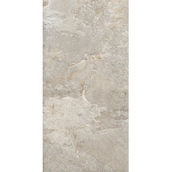 Керамогранит NT Ceramic NTTVL99844D Axion Cold Mars 60x120