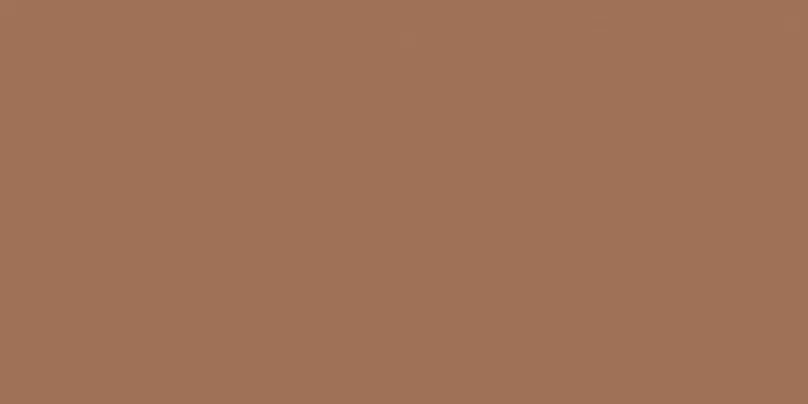 Плитка Baldocer Montmartre Terre Rect. 60x120