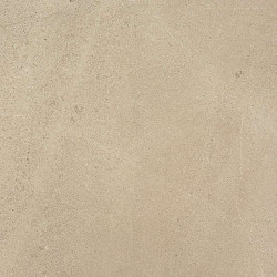 Керамогранит Atlas Concorde Russia 610010001401 Wise Sand Ret 60x60
