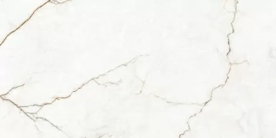 Керамогранит Eurotile Canyon White Carving 60x120