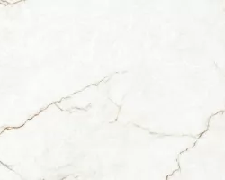 Керамогранит Eurotile Canyon White Carving 60x120