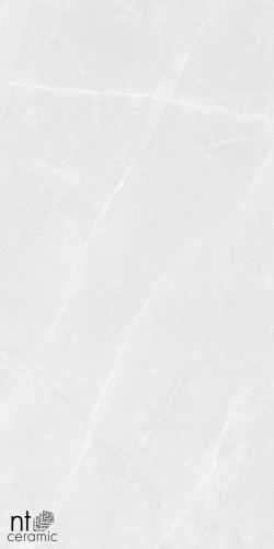 Керамогранит NT Ceramic NTT99618M Limestone White Structura 60x120