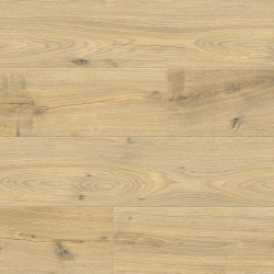 Ламинат Floorwood Paradigma 8335 Дуб Риман