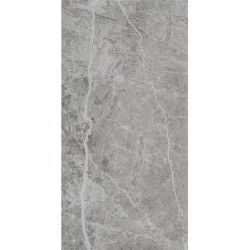 Керамогранит Pamesa 017.250.0161.11760 Stone Grey 60x120